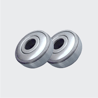 TRADUCTOR Roller afferentem